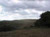 105-0536_IMG.JPG (73836 bytes)